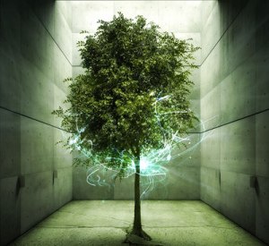 Eternal Life Tree